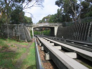 IMG_0531