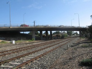 IMG_0990