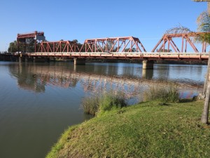 IMG_2263w