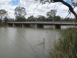 IMG_2656